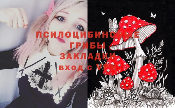 COCAINE Краснослободск