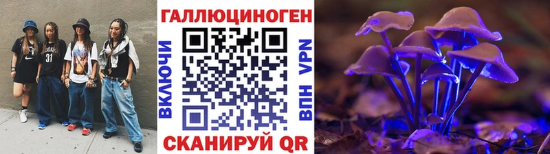 Псилоцибиновые грибы Psilocybe  закладки  Ува 